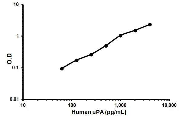 Sandwich ELISA - Human uPA ELISA Kit (URK) (AB119611)