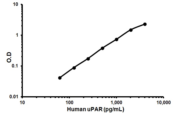 Sandwich ELISA - Human uPA Receptor/U-PAR ELISA Kit (URKR) (AB119612), expandable thumbnail