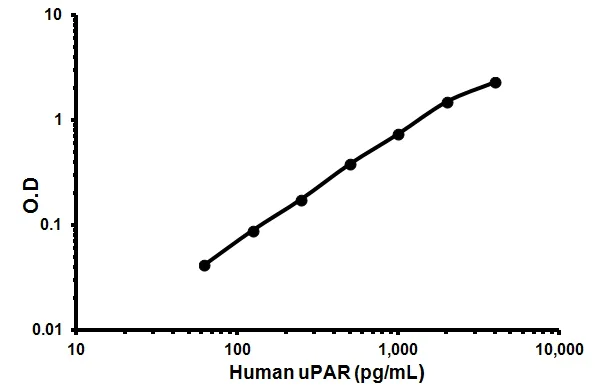 Sandwich ELISA - Human uPA Receptor/U-PAR ELISA Kit (URKR) (AB119612)