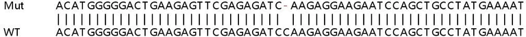 Sanger Sequencing - Human UQCRQ knockout HEK-293T cell lysate (AB258273)