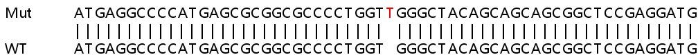 Sanger Sequencing - Human USB1 (C16orf57) knockout HeLa cell line (AB265114), expandable thumbnail