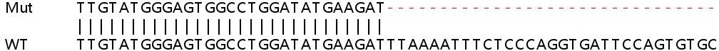 Sanger Sequencing - Human USP18 (UBP43) knockout A549 cell line (AB267178)