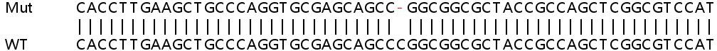 Sanger Sequencing - Human USP22 knockout HeLa cell lysate (AB257789), expandable thumbnail