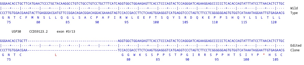 Next Generation Sequencing - Human USP30 Knockout A549 cell line (AB324260), expandable thumbnail