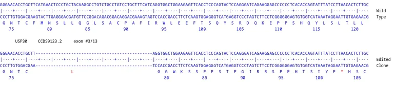 Next Generation Sequencing - Human USP30 Knockout A549 cell line (AB324260)