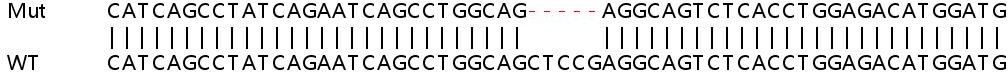 Sanger Sequencing - Human USP42 knockout HeLa cell line (AB264981), expandable thumbnail