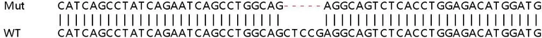 Sanger Sequencing - Human USP42 knockout HeLa cell lysate (AB259234)