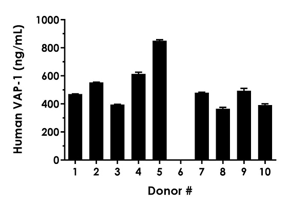 Sandwich ELISA - Human VAP-1 ELISA Kit (AB243684)