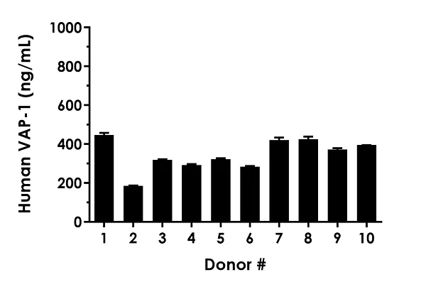 Sandwich ELISA - Human VAP-1 ELISA Kit (AB243684)