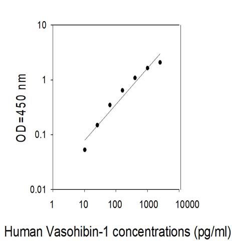 Sandwich ELISA - Human VASH1 ELISA Kit (AB314818)