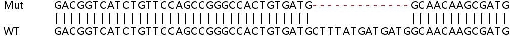 Sanger Sequencing - Human VASP knockout HeLa cell line (AB265892), expandable thumbnail