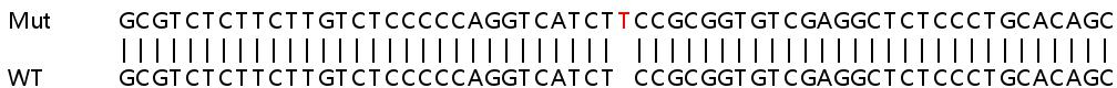 Sanger Sequencing - Human VAV2 knockout HeLa cell lysate (AB257794), expandable thumbnail