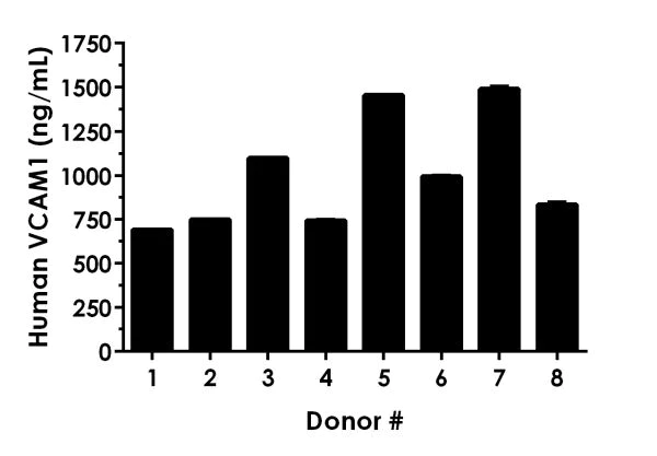 Sandwich ELISA - Human VCAM1 ELISA Kit (AB223591)
