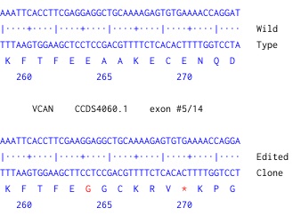 Next Generation Sequencing - Human VCAN knockout U-87 MG cell line (AB306857), expandable thumbnail