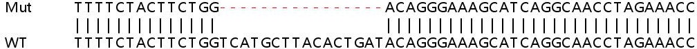 Sanger Sequencing - Human VDAC3 knockout HEK-293T cell line (AB266066), expandable thumbnail