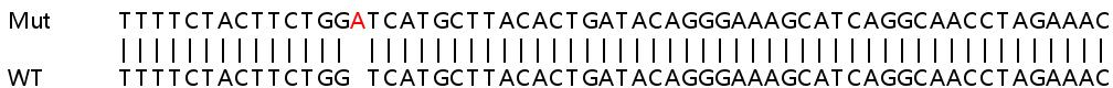 Sanger Sequencing - Human VDAC3 knockout HEK-293T cell line (AB266066), expandable thumbnail