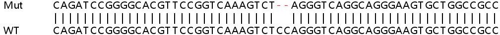 Sanger Sequencing - Human VDR (Vitamin D Receptor) knockout HeLa cell line (AB265430), expandable thumbnail