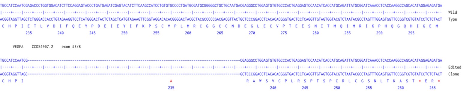 Next Generation Sequencing - Human VEGFA knockout A549 cell line (AB289054), expandable thumbnail