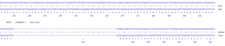 Next Generation Sequencing - Human VEGFA knockout A549 cell line (AB289054)