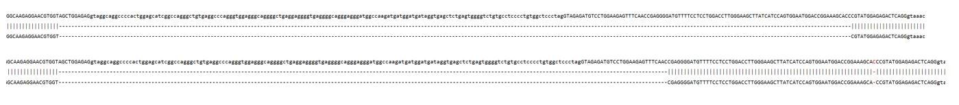 Sanger Sequencing - Human VIL1 Knockout A549 cell line (AB324222), expandable thumbnail