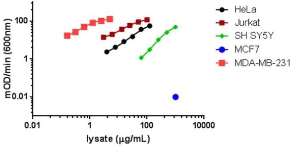 Sandwich ELISA - Human Vimentin Profiling ELISA Kit (AB173190)