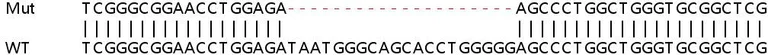 Sanger Sequencing - Human VKORC1 knockout HEK-293T cell lysate (AB258282)