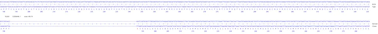 Next Generation Sequencing - Human VLDLR knockout U-87 MG cell line (AB306807)