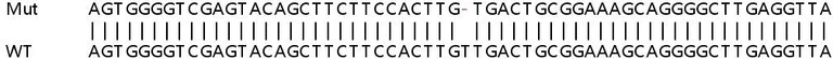Sanger Sequencing - Human VRK3 knockout HeLa cell line (AB264721)