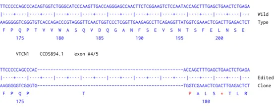 Next Generation Sequencing - Human VTCN1 knockout A549 cell line (AB289052)