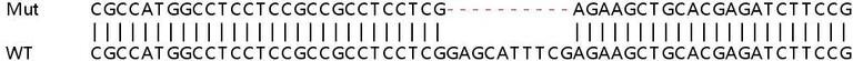 Sanger Sequencing - Human VTI1B knockout HeLa cell lysate (AB257797)