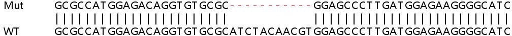 Sanger Sequencing - Human WDR45 knockout HeLa cell lysate (AB258762)