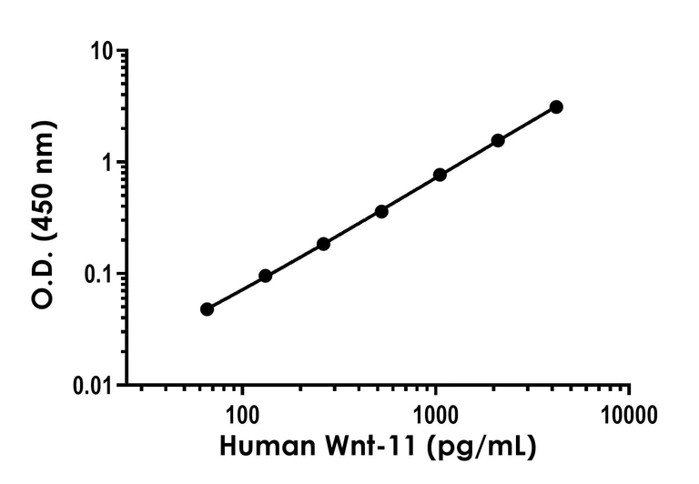 Sandwich ELISA - Human Wnt11 ELISA Kit (AB317552)