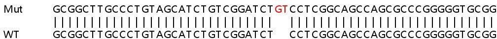 Sanger Sequencing - Human WRNIP1 (WHIP) knockout HeLa cell lysate (AB263422)