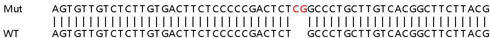 Sanger Sequencing - Human WSB2 knockout HeLa cell lysate (AB263423), expandable thumbnail