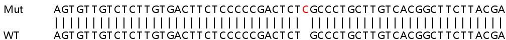 Sanger Sequencing - Human WSB2 knockout HeLa cell lysate (AB263423), expandable thumbnail