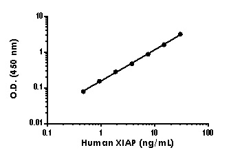 Sandwich ELISA - Human XIAP ELISA Kit (AB234576), expandable thumbnail
