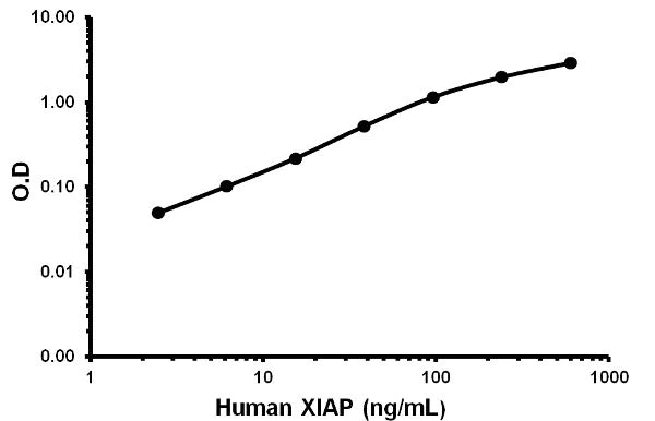 Sandwich ELISA - Human XIAP ELISA Kit (API3) (AB155446)
