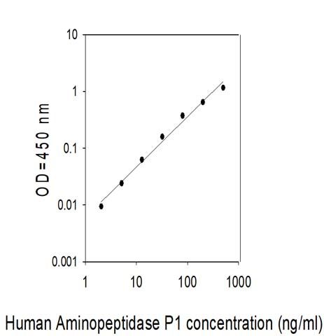 Sandwich ELISA - Human XPNPEP1 ELISA Kit (AB313508)