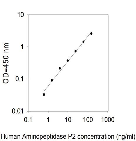 Sandwich ELISA - Human XPNPEP2/mAPP ELISA Kit (AB313509), expandable thumbnail