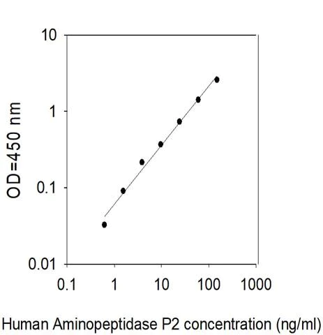 Sandwich ELISA - Human XPNPEP2/mAPP ELISA Kit (AB313509)