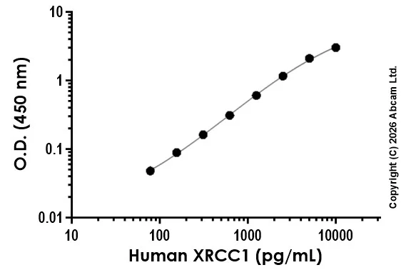 Sandwich ELISA - Anti-Human XRCC1 antibody [EPR30927-32] - BSA and Azide free (Detector) (AB327700)