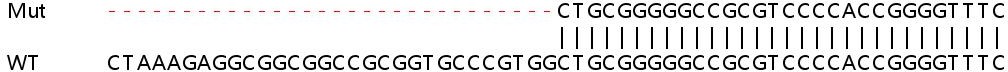 Sanger Sequencing - Human YBX3 (DBPA) knockout HEK-293T cell line (AB266216), expandable thumbnail