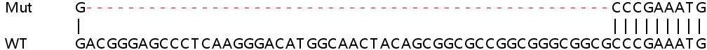 Sanger Sequencing - Human YIPF3 knockout HEK-293T cell lysate (AB259244)