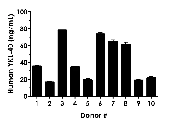 Sandwich ELISA - Human YKL-40 ELISA Kit (AB255719)