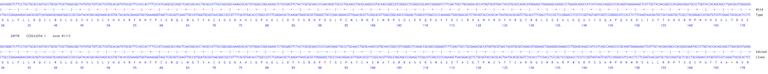 Next Generation Sequencing - Human ZAP70 knockout Jurkat cell line (AB273841)