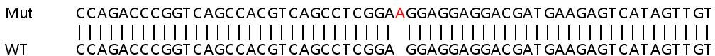 Human ZDHHC7 knockout HeLa cell lysate