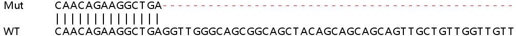 Sanger Sequencing - Human ZFR knockout HEK-293T cell line (AB266501)
