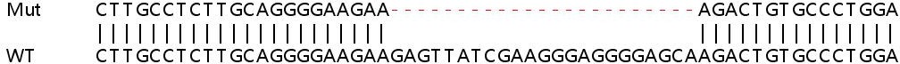 Sanger Sequencing - Human ZMAT3 (PAG608) knockout HeLa cell line (AB265093), expandable thumbnail