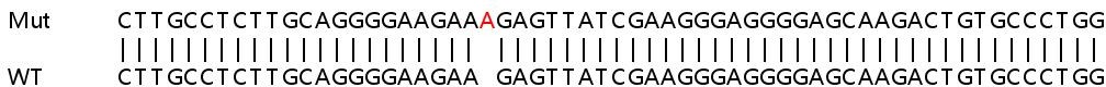 Sanger Sequencing - Human ZMAT3 (PAG608) knockout HeLa cell line (AB265093), expandable thumbnail