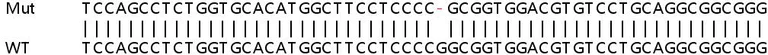 Sanger Sequencing - Human ZNF692 knockout HeLa cell lysate (AB259250)